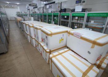 Imunização de crianças de 10 e 11 anos contra dengue inicia no dia 22, em Manaus