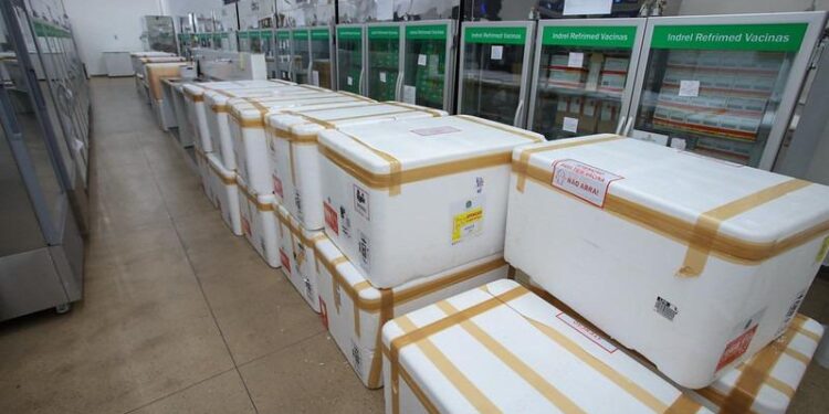 Imunização de crianças de 10 e 11 anos contra dengue inicia no dia 22, em Manaus