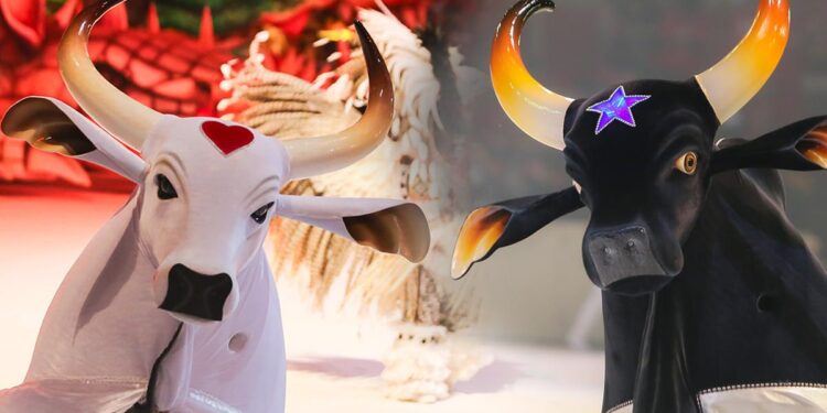 Caprichoso e Garantido irão se apresentar em um dos maiores festivais do Sul do Brasil, em março