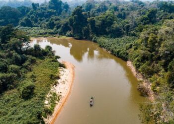 Instituto Florestal lança curso para formar líderes em combate ao desmatamento na Amazônia