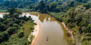 Instituto Florestal lança curso para formar líderes em combate ao desmatamento na Amazônia