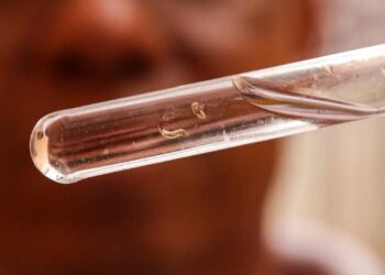 Brasil tem mais de um milhão de casos de dengue este ano