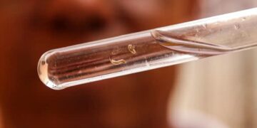 Brasil tem mais de um milhão de casos de dengue este ano