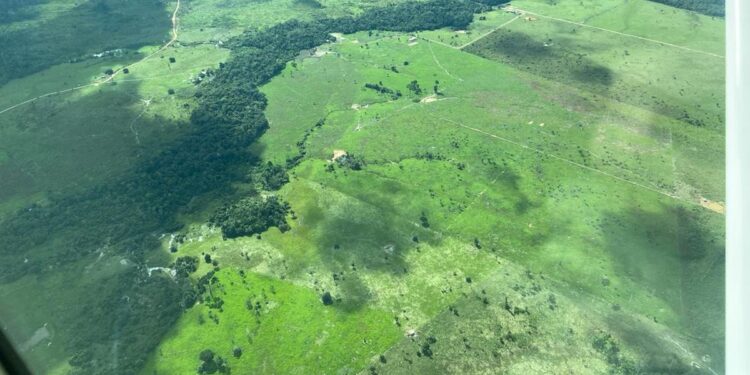 Registros de títulos de terras emitidos pela Prefeitura de Presidente Figueiredo são suspensos