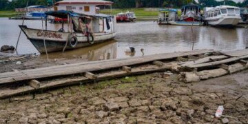 Cheia no Amazonas está na normalidade, mas baixo volume de chuvas preocupa
