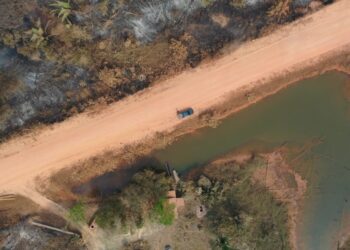 TCE-AM mobiliza ações para apoiar vítimas das enchentes no Rio Grande do Sul