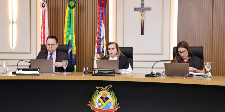 TCE-AM emite alerta aos 62 municípios para combate às queimadas e estiagem