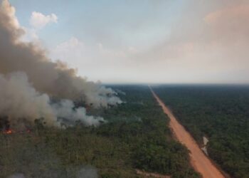 TCE-AM emite alerta aos 62 municípios para combate às queimadas e estiagem