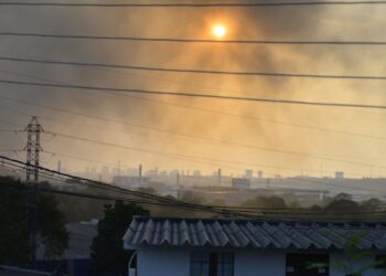 Queimadas: Manaus se une a municípios para enfrentar problema que já registra 715 focos em 2024