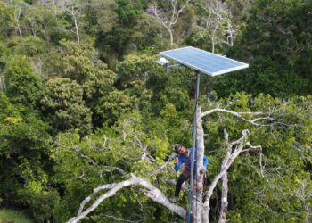 Queimadas: Manaus se une a municípios para enfrentar problema que já registra 715 focos em 2024