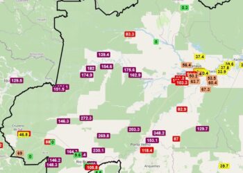 Mais de 20 municípios do Amazonas estão com qualidade do ar péssima ou ruim, diz plataforma