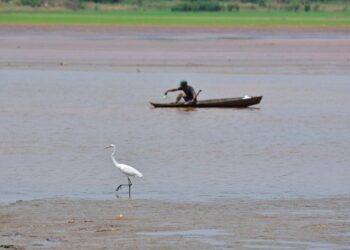 TCE-AM reprova contas e multa ex-gestor da Semed de Pauini em R$ 13,6 mil