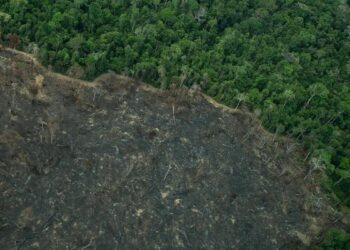 Greenpeace: imagens mostram novas áreas de garimpo em TIs na Amazônia